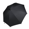 Fan Umbrella color options